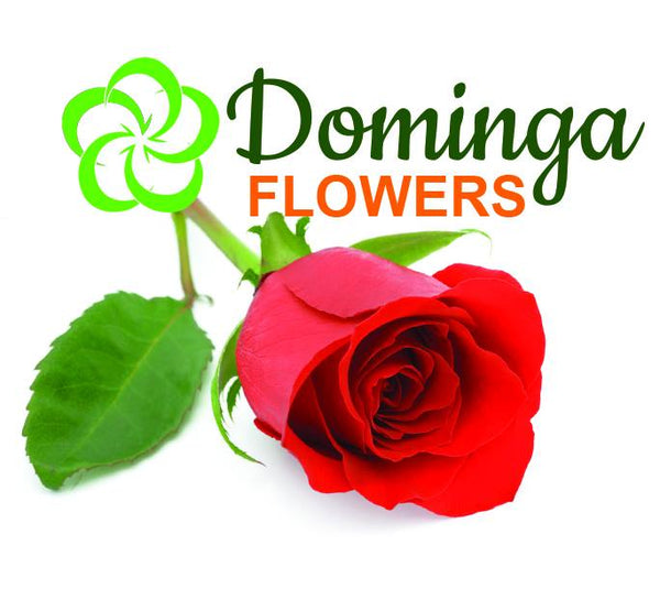 Domingas Flowers